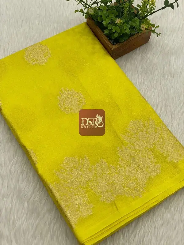 Banarasi Georgette Saree