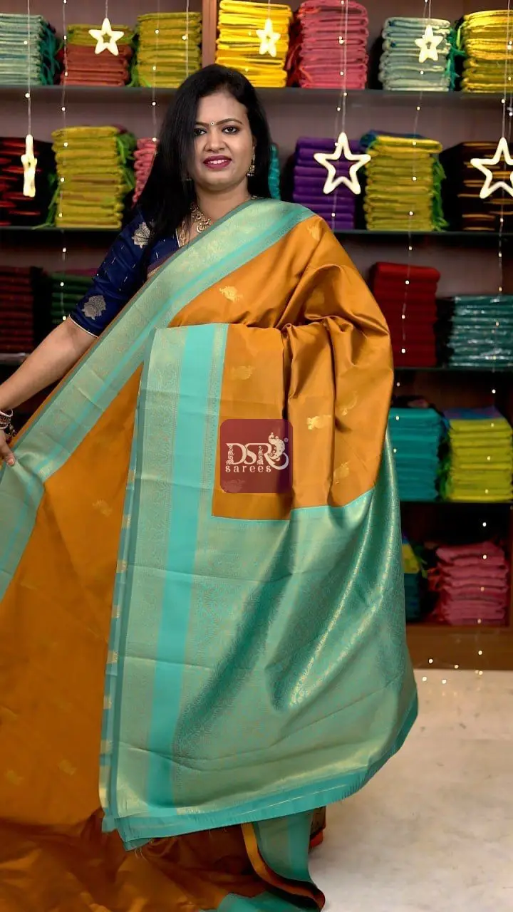 Rettapetta Soft Silk Saree